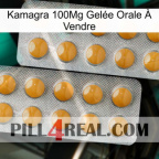 Kamagra 100Mg Gelée Orale À Vendre levitra2